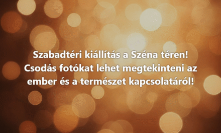 Szabadtéri kiállítás a Széna téren!