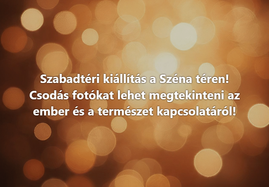 Szabadtéri kiállítás a Széna téren!