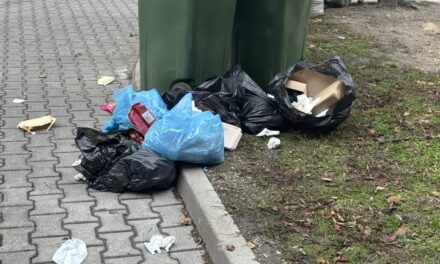 Reggeli életkép a Csalogány utcában!